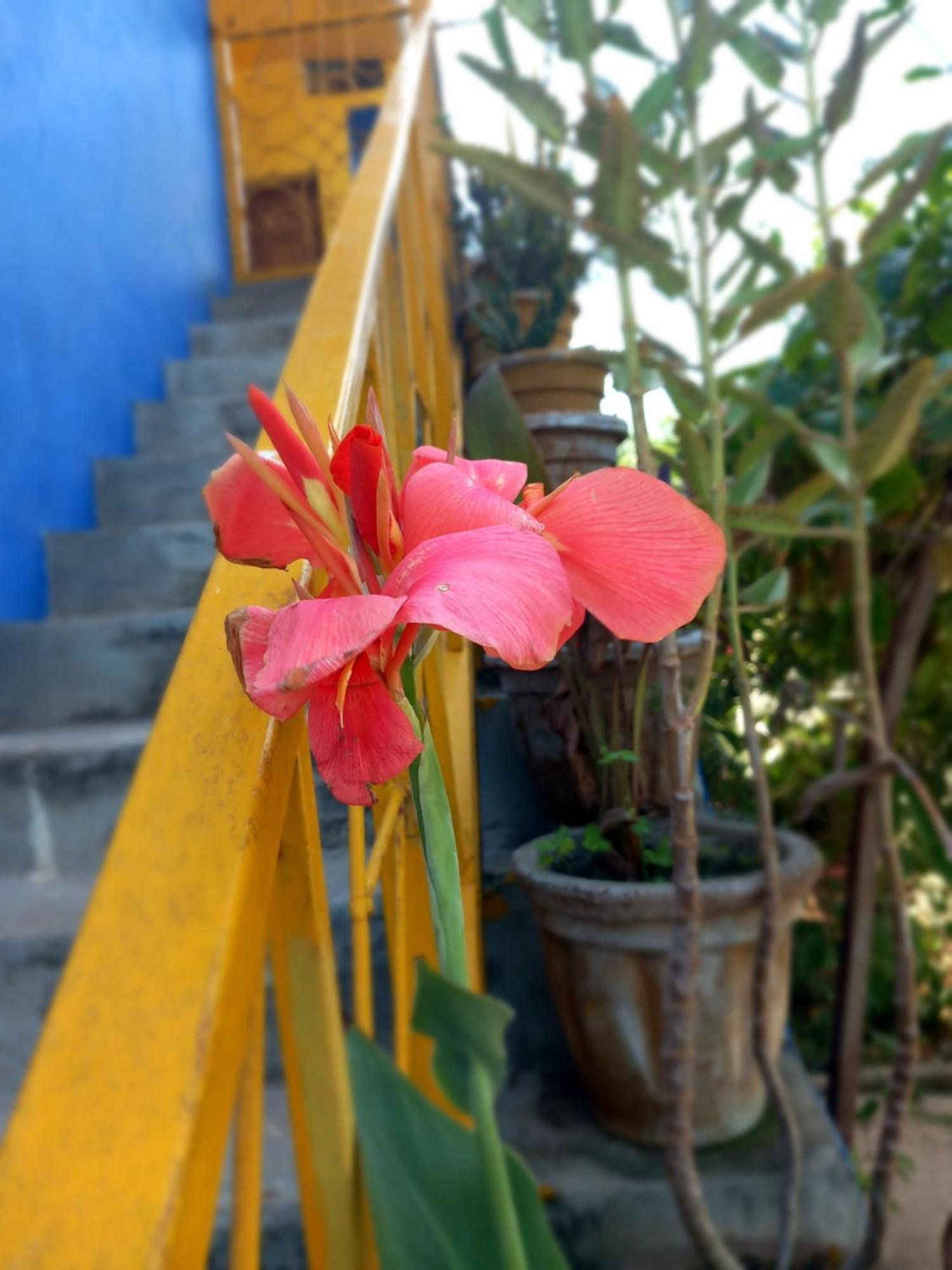 La Locanda Lodge - Apartment, 4 Double Rooms & Kitchen Near The Beach Jambiani  Luaran gambar