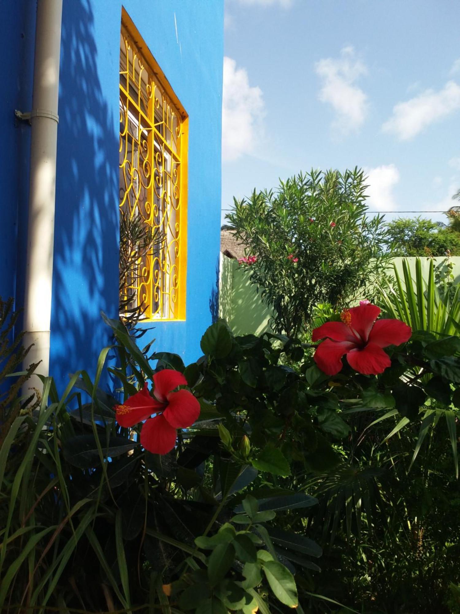 La Locanda Lodge - Apartment, 4 Double Rooms & Kitchen Near The Beach Jambiani  Luaran gambar