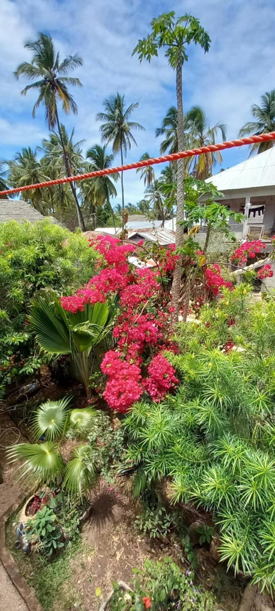 La Locanda Lodge - Apartment, 4 Double Rooms & Kitchen Near The Beach Jambiani  Luaran gambar
